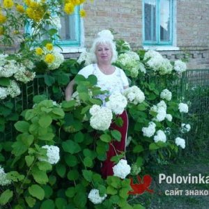 АЛЁНА , 56 лет